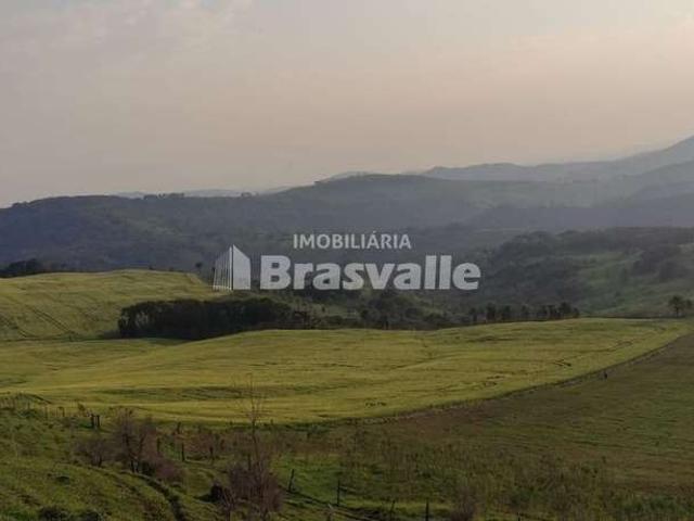 Sítio / Chácara para Venda em Palmital/PR Zona Rural