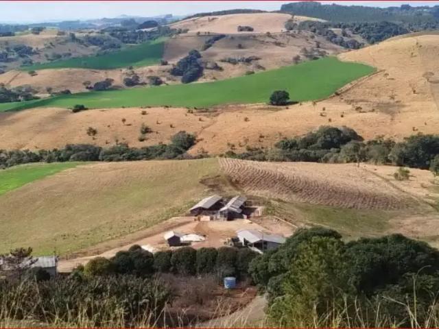 Sítio / Chácara para Venda em Palmital/PR Zona Rural 3 Quartos