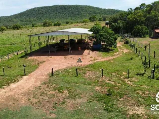 Sítio / Chácara para Venda em Palminópolis/GO Zona Rural 3 Quartos