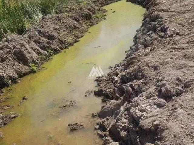 Sítio / Chácara para Venda em Pará de Minas/MG Área Rural de Pará de Minas