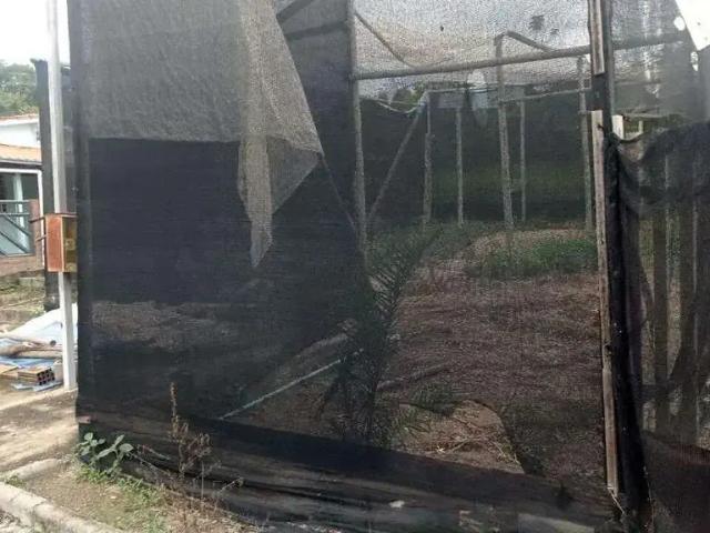 Sítio / Chácara para Venda em Pará de Minas/MG Torneiros