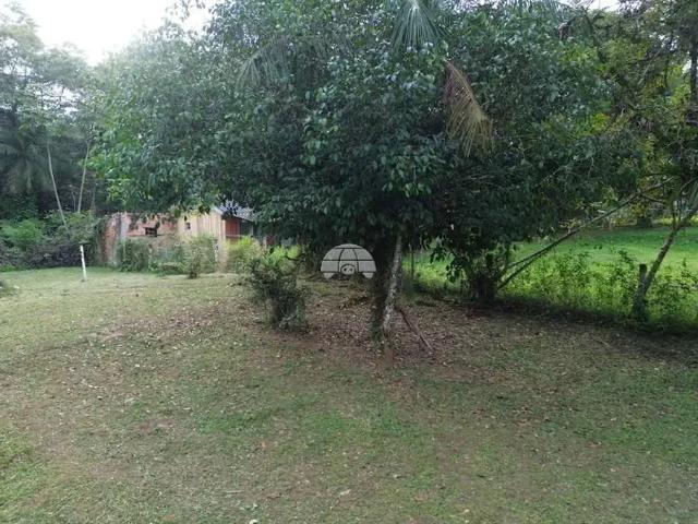 Sítio / Chácara para Venda em Paranaguá/PR Colônia Pereira