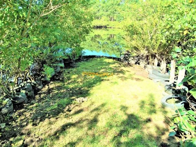 Sítio / Chácara para Venda em Paranaguá/PR Jardim Guaraituba 4 Quartos