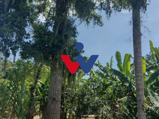 Sítio / Chácara para Venda em Paranaguá/PR Rio das Pedras 2 Quartos