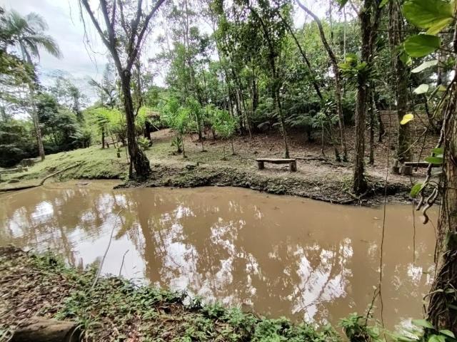 Sítio / Chácara para Venda em Paranaguá/PR Colônia Maria Luiza 4 Quartos