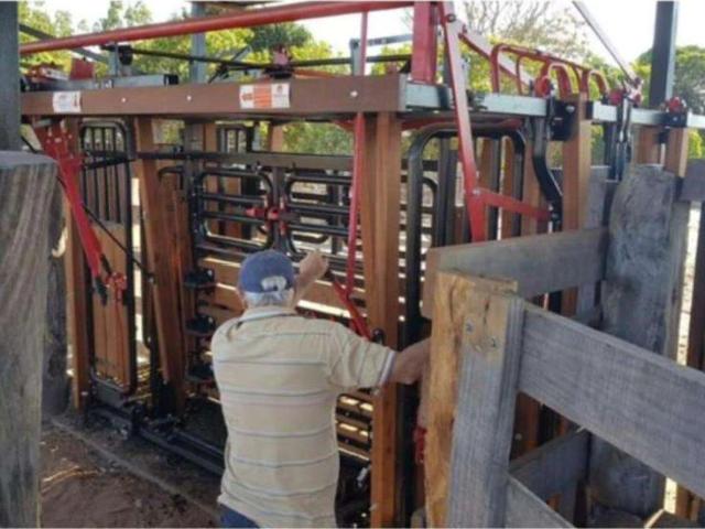 Sítio / Chácara para Venda em Paranatinga/MT Zona Rural