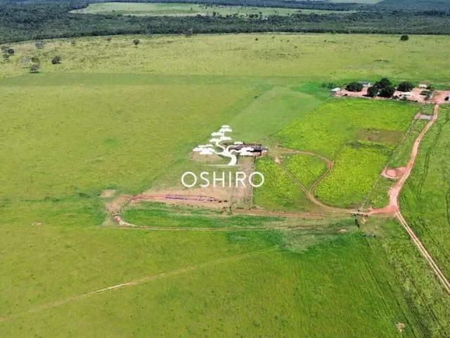 Sítio / Chácara para Venda em Paranatinga/MT Zona Rural