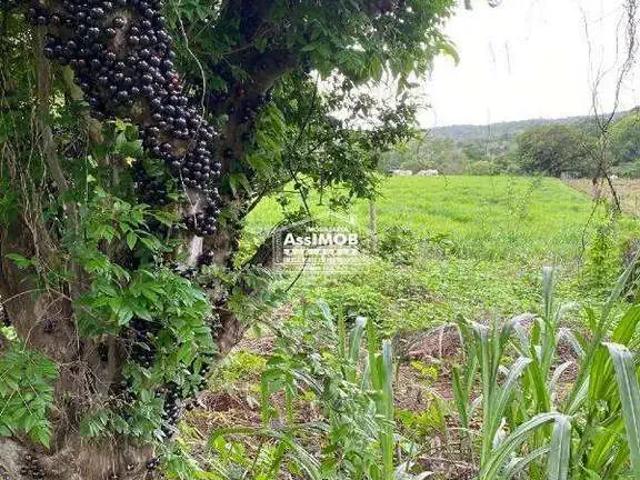 Sítio / Chácara para Venda em Paracatu/MG Zona Rural 4 Quartos
