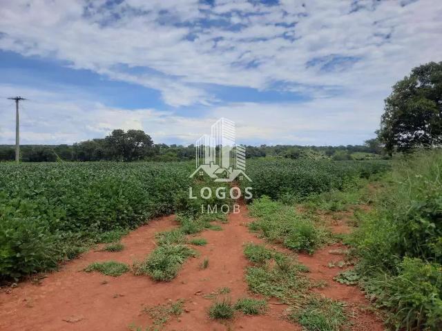 Sítio / Chácara para Venda em Paracatu/MG Centro 5 Quartos