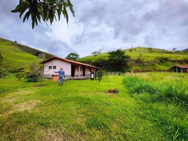 Sítio / Chácara para Venda em Paraíba do Sul/RJ Centro 2 Quartos