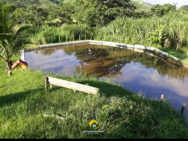 Sítio / Chácara para Venda em Paraíba do Sul/RJ Centro 4 Quartos