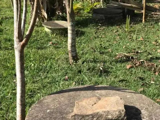 Sítio / Chácara para Venda em Paraibuna/SP Centro 2 Quartos