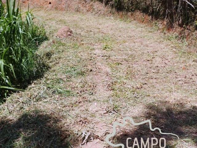 Sítio / Chácara para Venda em Paraibuna/SP Centro 1 Quartos