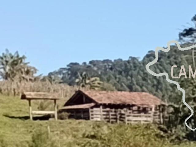 Sítio / Chácara para Venda em Paraibuna/SP Centro 3 Quartos