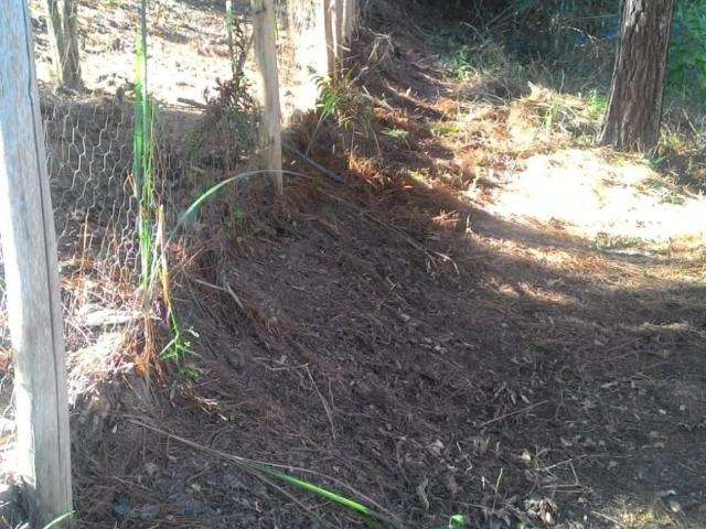 Sítio / Chácara para Venda em Paraibuna/SP Centro 3 Quartos