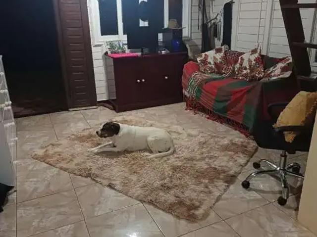 Sítio / Chácara para Venda em Paraibuna/SP Centro 1 Quartos