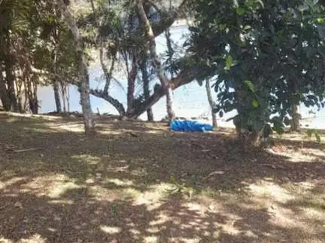 Sítio / Chácara para Venda em Paraibuna/SP Centro