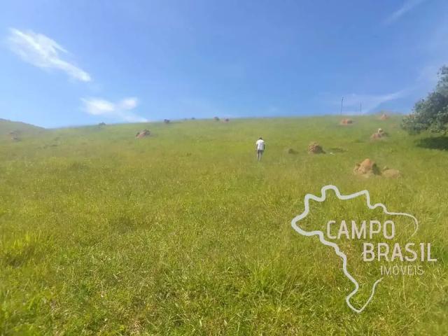 Sítio / Chácara para Venda em Paraibuna/SP Zona Rural