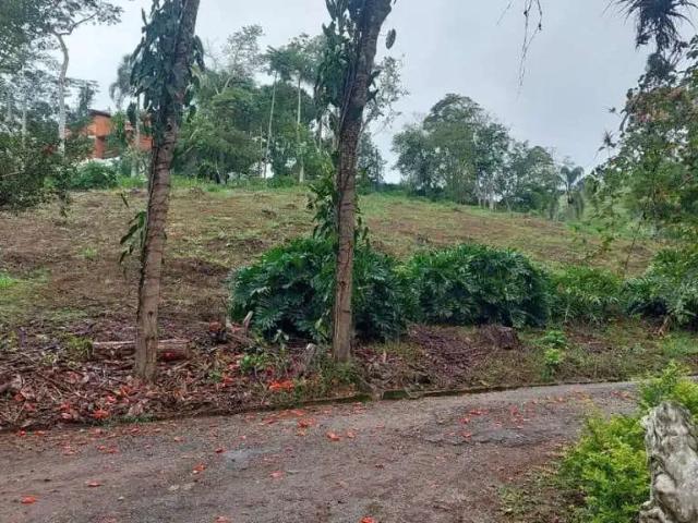 Sítio / Chácara para Venda em Paraibuna/SP Zona Rural 7 Quartos