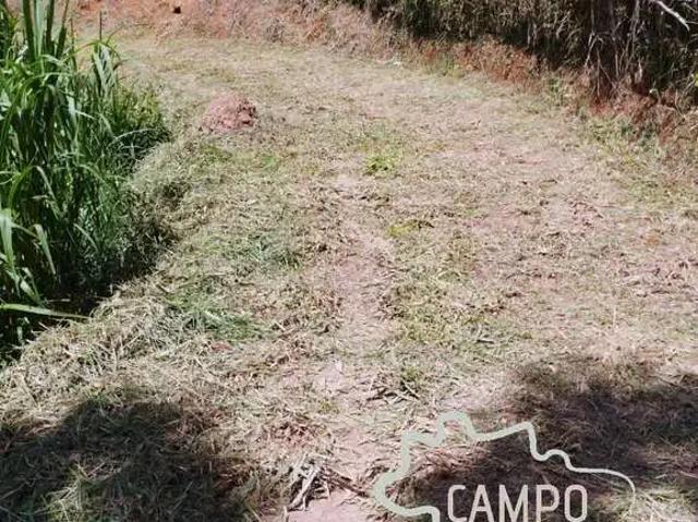 Sítio / Chácara para Venda em Paraibuna/SP Zona Rural 1 Quartos