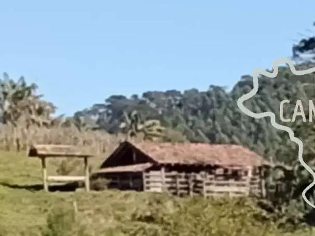 Sítio / Chácara para Venda em Paraibuna/SP Zona Rural 3 Quartos