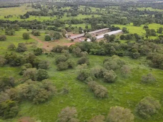 Sítio / Chácara para Venda em Paraíso do Tocantins/TO Zona Rural