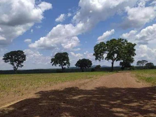 Sítio / Chácara para Venda em Paraíso do Tocantins/TO Zona Rural