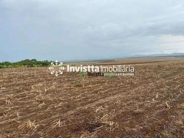 Sítio / Chácara para Venda em Paraíso do Tocantins/TO Jardim Paulista