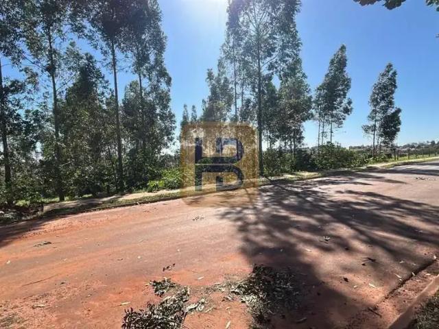 Sítio / Chácara para Venda em Paraíso do Norte/PR Zona Rural