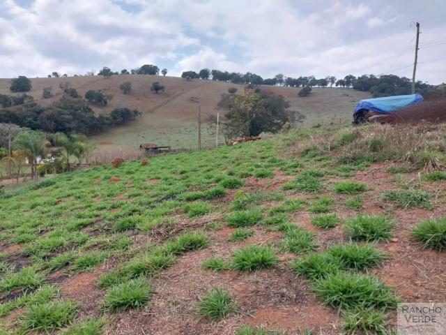 Sítio / Chácara para Venda em Paraisópolis/MG Centro