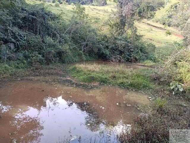 Sítio / Chácara para Venda em Paraisópolis/MG Zona Rural
