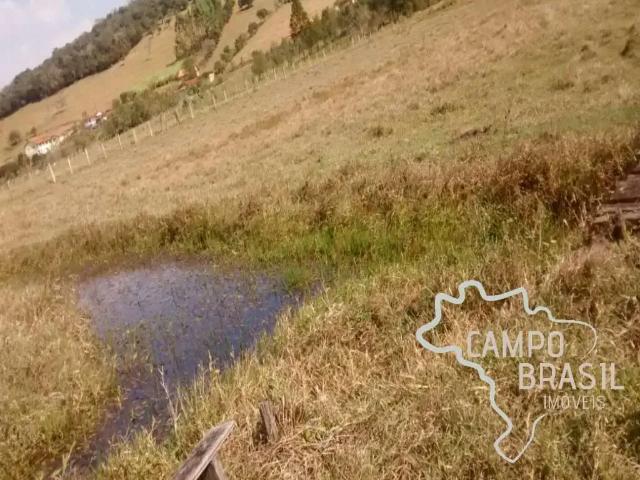 Sítio / Chácara para Venda em Paraisópolis/MG Zona Rural 3 Quartos
