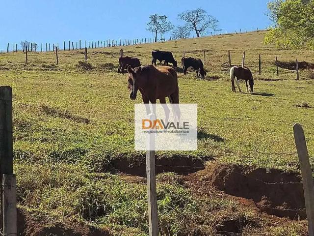 Sítio / Chácara para Venda em Paraisópolis/MG Zona Rural 3 Quartos