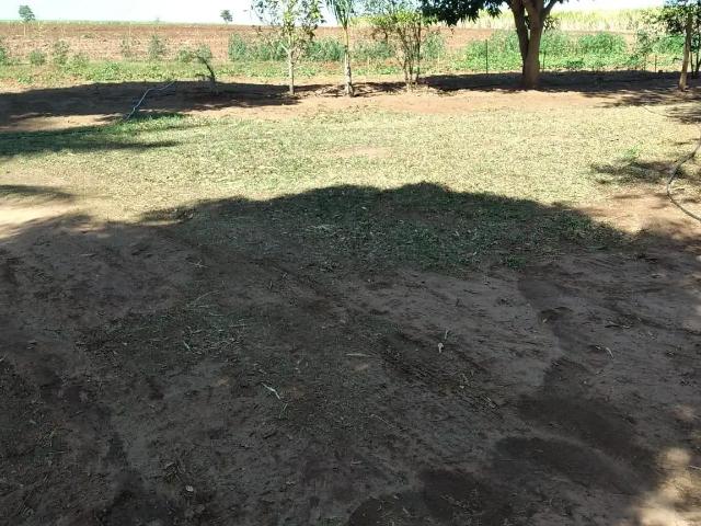 Sítio / Chácara para Venda em Paraíso/SP Centro