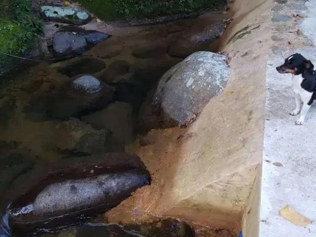 Sítio / Chácara para Venda em Paraty/RJ Corisquinho 2 Quartos