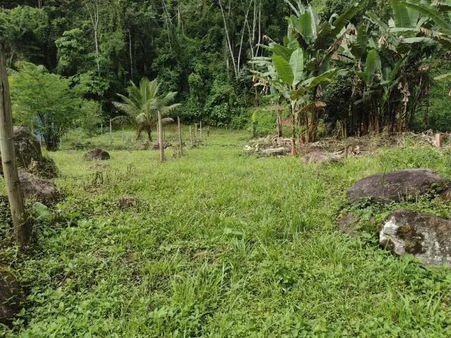 Sítio / Chácara para Venda em Paraty/RJ Barra Grande 4 Quartos