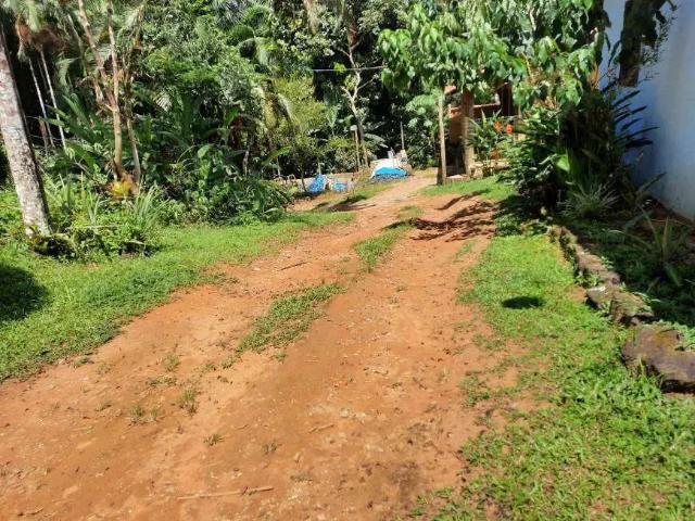 Sítio / Chácara para Venda em Paraty/RJ Penha 4 Quartos