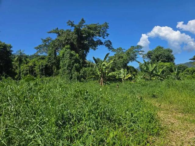 Sítio / Chácara para Venda em Paraty/RJ Zona Rural 1 Quartos