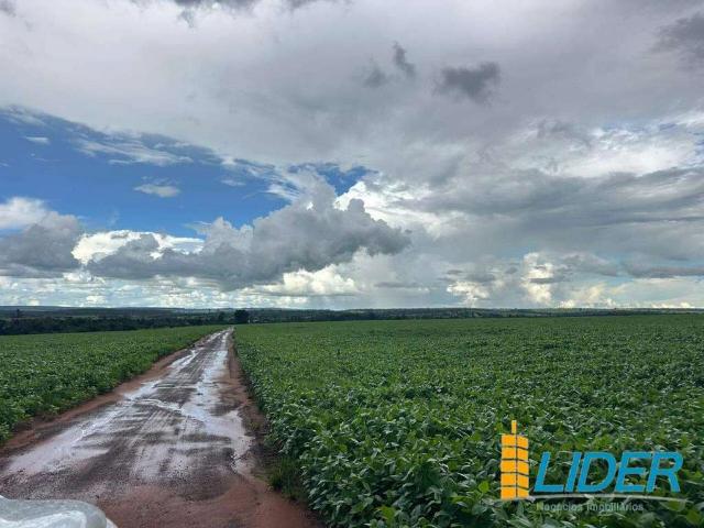 Sítio / Chácara para Venda em Paraúna/GO Área Rural de Paraúna