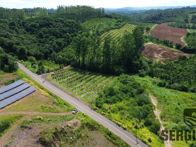 Sítio / Chácara para Venda em Pareci Novo/RS Zona Rural