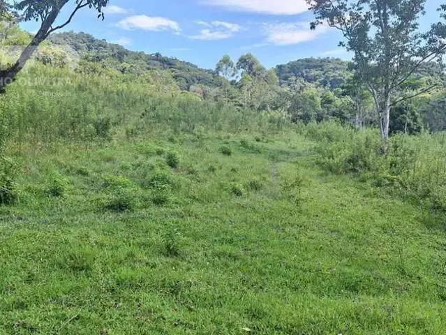 Sítio / Chácara para Venda em Pariquera Açu/SP Braço Magro