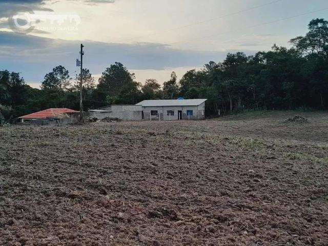 Sítio / Chácara para Venda em Pariquera Açu/SP Braço Magro