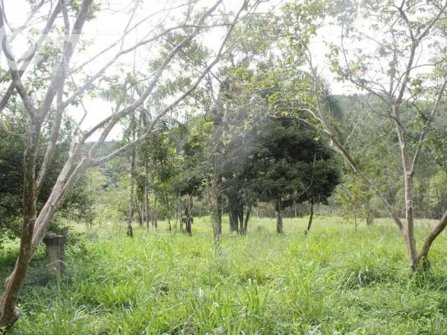 Sítio / Chácara para Venda em Pariquera Açu/SP Zona Rural 3 Quartos