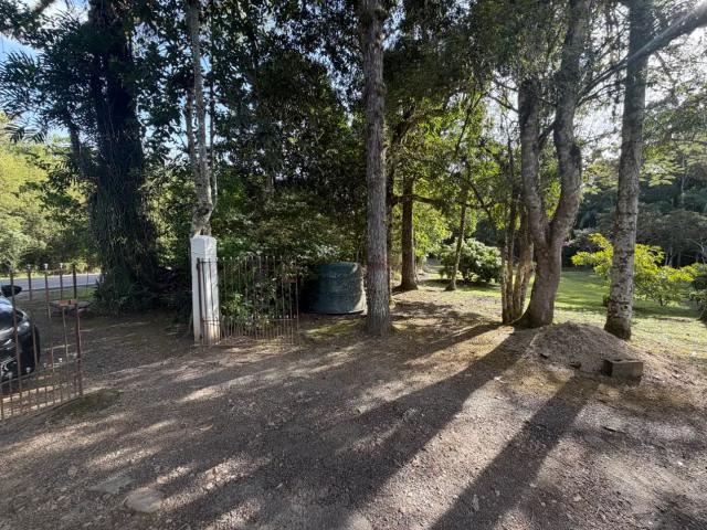 Sítio / Chácara para Venda em Pariquera Açu/SP Zona Rural 3 Quartos