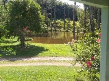 Sítio / Chácara para Venda em Pariquera Açu/SP Zona Rural