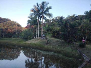 Sítio / Chácara para Venda em Pariquera Açu/SP Zona Rural
