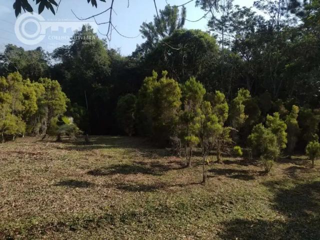 Sítio / Chácara para Venda em Pariquera Açu/SP Zona Rural