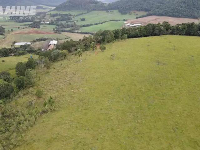 Sítio / Chácara para Venda em Passos Maia/SC Zona Rural