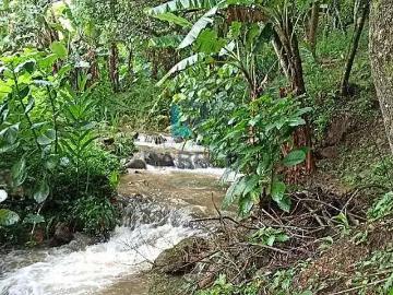 Sítio / Chácara para Venda em Passa Quatro/MG Centro 3 Quartos