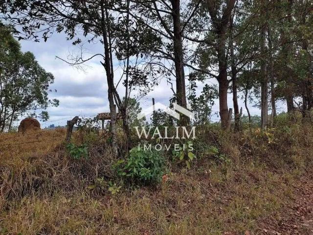 Sítio / Chácara para Venda em Passa Tempo/MG Zona Rural